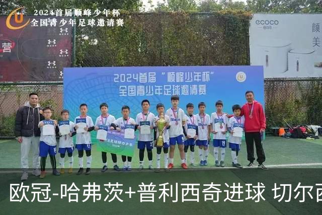 欧冠-哈弗茨+普利西奇进球 切尔西主场2-0胜里尔